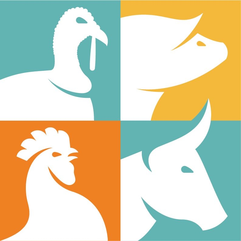 Smart Feed LTD
